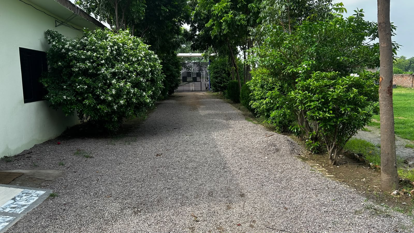 Green Campus Path